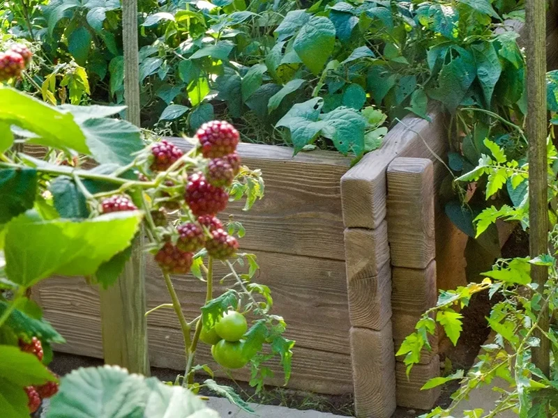 Hochbeet Typ 270x130 / 56