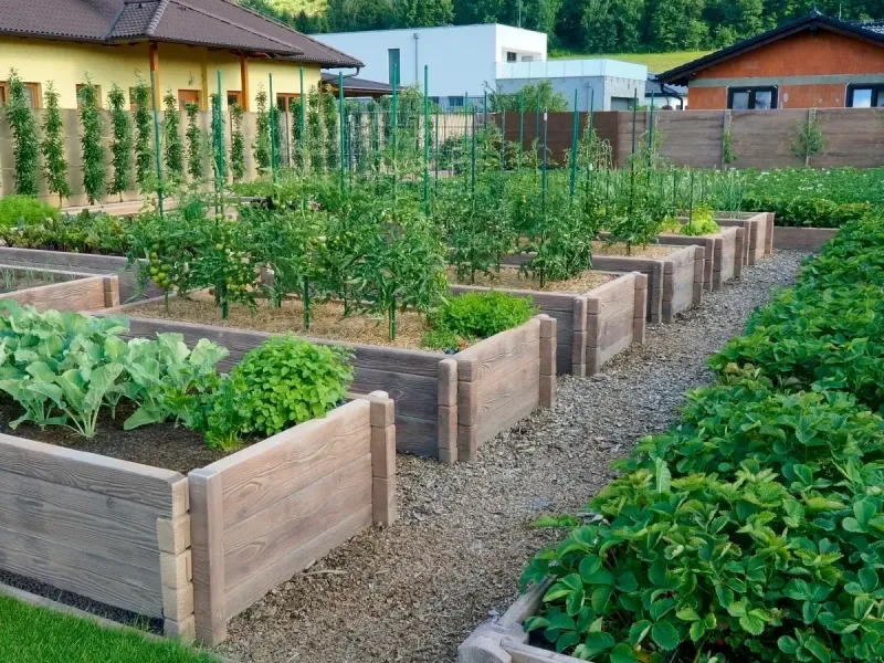 Hochbeet Typ 270x130 / 56