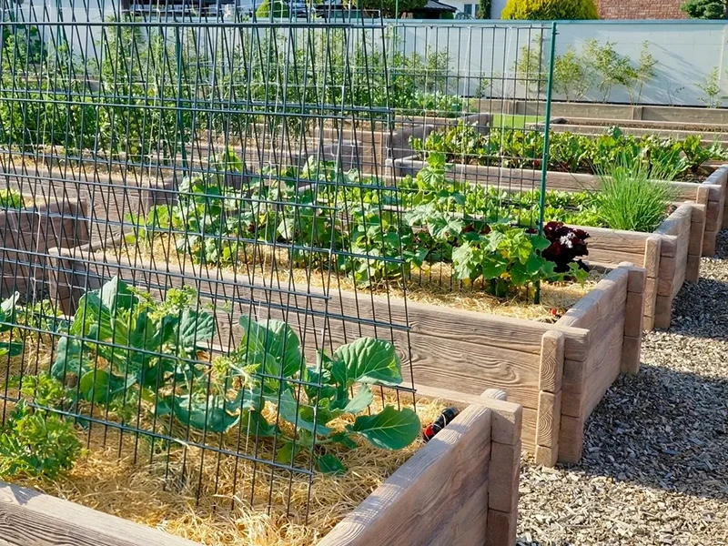 Hochbeet Typ 270x130 / 56